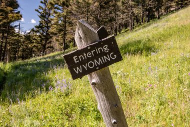 Wyoming tabelasına girerken bir Bizon 'un kazıma sonucu olarak devrilmiş.