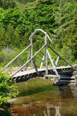 Acadia Ulusal Parkı 'ndaki Jordan Pond Köprüsü