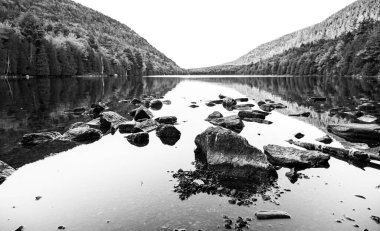 Contrast of Rocks in Shallows of Jordan Pond in Acadia