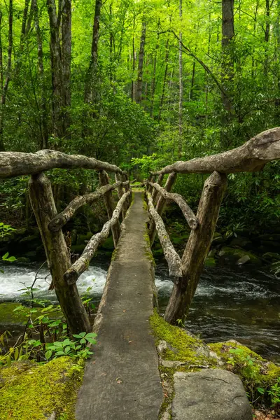 Duman Hatları Dar Dumanaltı Köprüsü Deresi Üzerinde