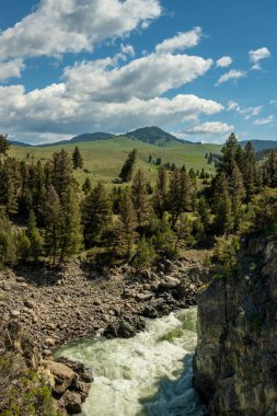 Hellroading Creek ve Buffalo Platosu Yellowstone Ulusal Parkı