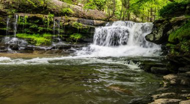 New River Vadisi Ulusal Parkı 'ndaki Dunloup deresi boyunca Şelaleden Akan Düşük Su Akımı