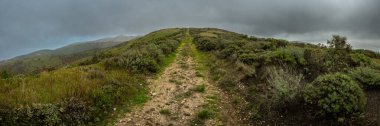 Channel Adaları Ulusal Parkı 'ndaki Santa Cruz Adası' nda Eski Donanma Yolu 'nun Panorama' sı
