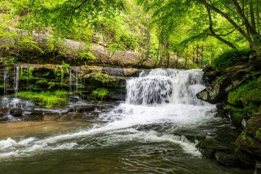 New River Gorge Ulusal Parkı 'ndaki Dunloup Creek' teki şelaleden akan sular.