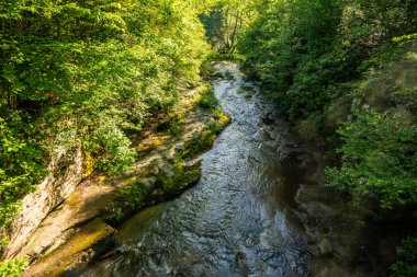 Nehir köprünün altından geçip New River Vadisi Ulusal Parkı 'na gidiyor.