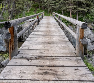 Hellroarding Creek Patikası Yazın Yellowstone Taşrasında Köprüyü Geçiyor