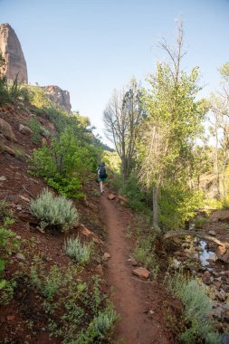 Sırt çantaları Zion 'daki La Verkin Deresi Yolu boyunca Koyu Turuncu Yol' a tırmanır