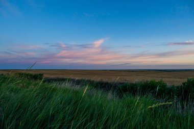 Kansas 'ta Prarie' de Yeşil Çim