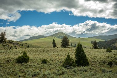 Yellowstone Ulusal Parkı 'nın arkasındaki Buffalo Platosu' nun Rolling Hills 'ine doğru bakıyorum.