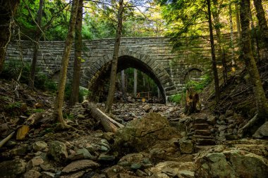 Acadia Ulusal Parkı 'ndaki Baldıran Köprüsü Altında Kayalar ve Kırık Ağaçlar