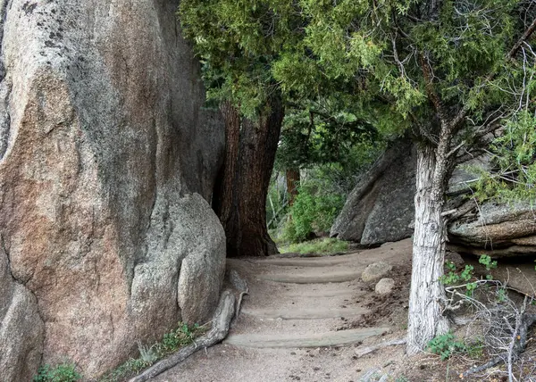 Colorado 'daki Rocky Dağı Ulusal Parkı' nda Gem Gölü 'ne kadar geniş patika rüzgarları esiyor.