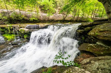 Dunloup Creek Şelalesi New River Vadisi Ulusal Parkı