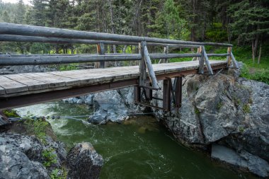 Kükreyen Derenin Yeşil Suyu Yellowstone Ulusal Parkı 'ndaki Köprü Altından Geçiyor