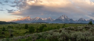 Grand Teton Ulusal Parkı 'ndaki Söğüt Düzlüklerinde Sabah Gölgeleri