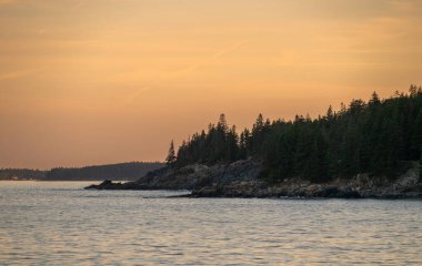 Acadia 'daki ağaçlarla kaplı kayaların üzerinde Şeftali Günbatımı Renkleri