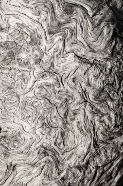 Kurumuş ahşabın kıvrımlı dokusu Siyah ve Beyaz arkaplan görüntüsüyle yanıyor