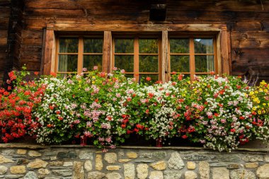Şehir caddesi boyunca geleneksel İsviçre Evinde Çiçeklerle Kutu Patlıyor