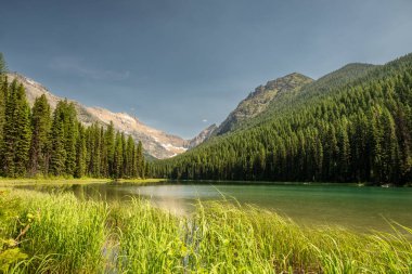 Buzul Ulusal Parkı 'ndaki Akokala Gölü Kıyısı Çimen Hattı