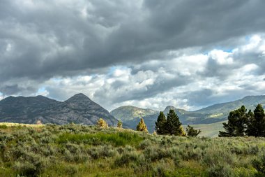 Yellowstone Ulusal Parkı 'nda Cehennem Kükreyen Tepeler