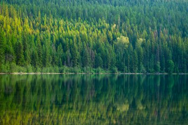 Buzul Ulusal Parkı 'ndaki Bowman Gölü' nün Cam Suyu Kalın Önsezi Yansıtıyor