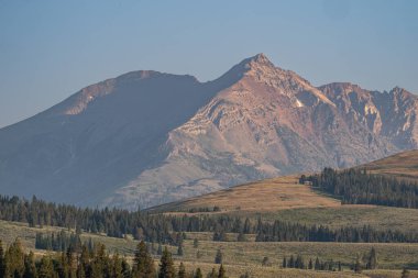 Yellowstone Ulusal Parkı 'nın Yuvarlanan Tepesi Yükseliyor