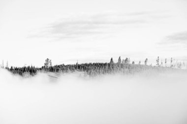 Yellowstone 'daki Siyah ve Beyaz Sis Vadisi