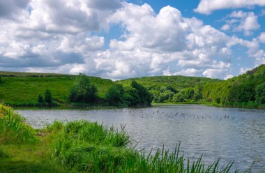Gölün üzerinde güzel bir yaz manzarası, yeşil çimenler ve mavi gökyüzü.