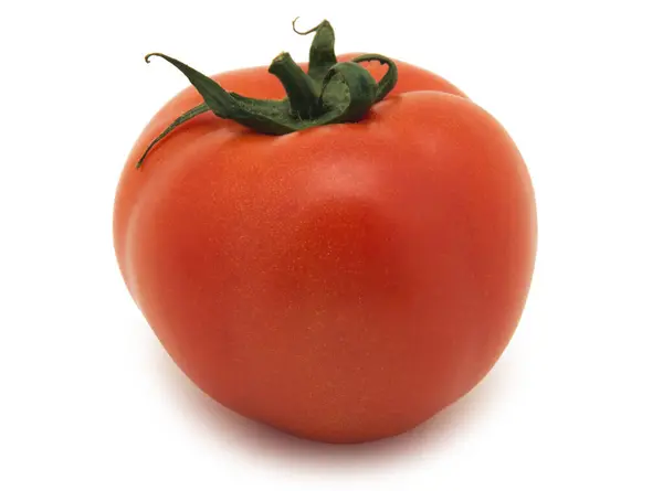 白を基調としたフレッシュレッドトマト — ストック写真