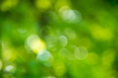 Doğal bulanık arkaplan dokusu