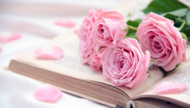 Roses and old book. Toned image clipart