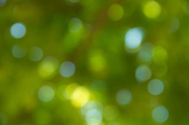 Doğal bulanık arkaplan dokusu