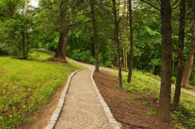 parktan geçen patika