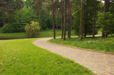 parktan geçen patika