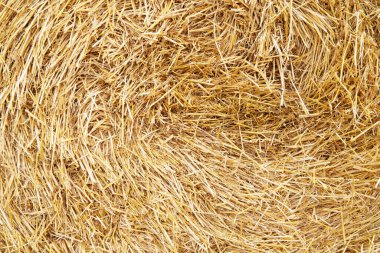 Saman dokusu. Saman balyaları büyük yığın halinde istiflenir. Tarımda hasat..