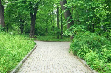 yeşil park taş yol