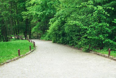 yeşil park taş yol