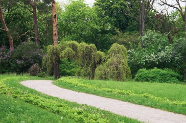 yolunu kullanarak landscaped park