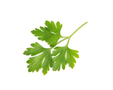 Beyaz arkaplanda taze maydanoz yaprakları