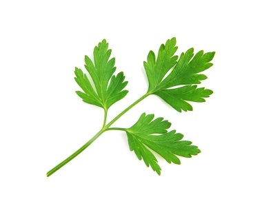 Beyaz arkaplanda taze maydanoz yaprakları