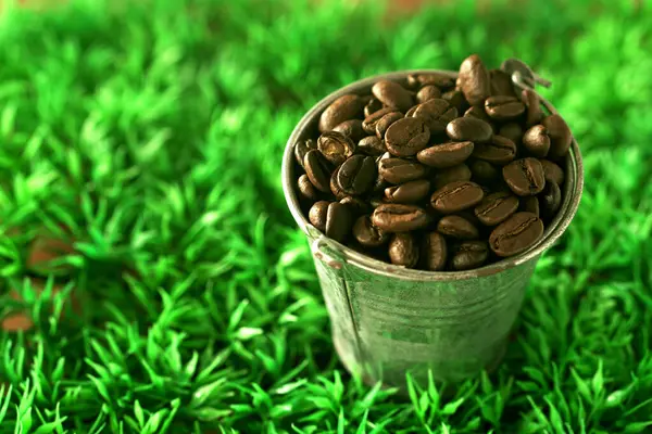 Kávová Zrna Poháru Zeleném Pozadí — Stock fotografie