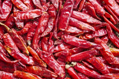 Kırmızı acı biber.