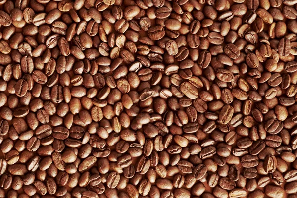 Sade Kahve Çekirdeği Kızarmış Kahve — Stok fotoğraf