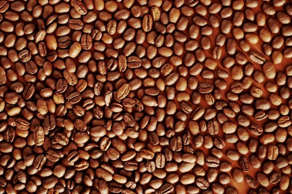 Sade Kahve Çekirdeği Kızarmış Kahve — Stok fotoğraf