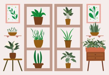 Ev bitkileri ve dekoratif çiçekler raflarda duruyor. Bahçe çiçeği saksısı ve ev içi kahverengi. Kapalı alanda bahçıvanlık, ev aktivitesi, ekolojik yaşam tarzı. Vektör illüstrasyonu.