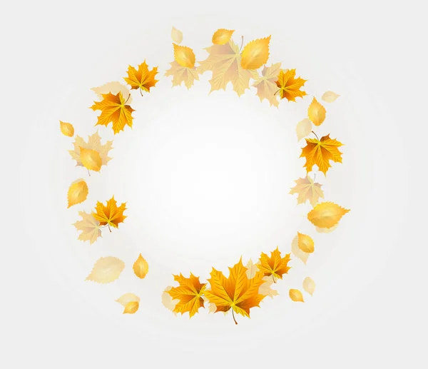 Ilustrace Bílého Pozadí Podzimními Listy Kruhu — Stock fotografie