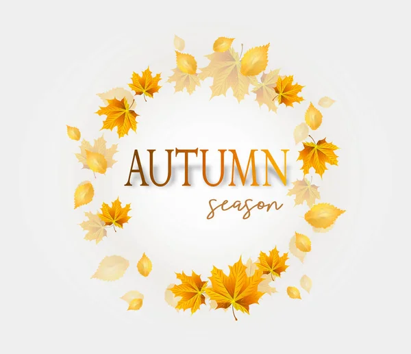 Illustration Des Hintergrunds Für Die Herbstsaison Mit Blättern — Stockfoto