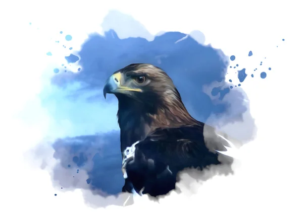 Illustration Tête Aigle Avec Ciel Bleu — Photo