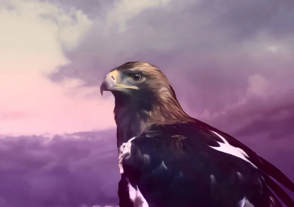 紫色戏剧化天空下鹰头的图解 — 图库照片