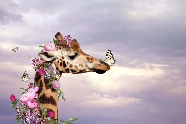 Foto Manipulace Hlavou Žirafy Květinami Obloze — Stock fotografie