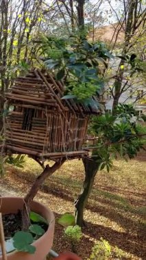 Kendi kendini yetiştirmiş bir kuş evine yakın plan. Bir bitkinin üzerinde oturuyor.